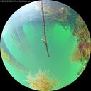 ./images/calvert/underwater/20260821/underwater20260821_120002M.jpg