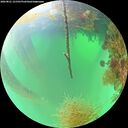 ./images/calvert/underwater/20260821/underwater20260821_121501M.jpg