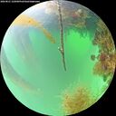 ./images/calvert/underwater/20260821/underwater20260821_122001M.jpg