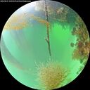 ./images/calvert/underwater/20260821/underwater20260821_122501M.jpg