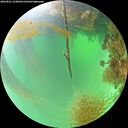./images/calvert/underwater/20260821/underwater20260821_123001M.jpg