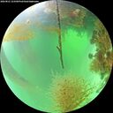 ./images/calvert/underwater/20260821/underwater20260821_123501M.jpg