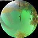 ./images/calvert/underwater/20260821/underwater20260821_124002M.jpg