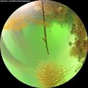 ./images/calvert/underwater/20260821/underwater20260821_124501M.jpg