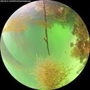 ./images/calvert/underwater/20260821/underwater20260821_125001M.jpg