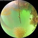 ./images/calvert/underwater/20260821/underwater20260821_125501M.jpg
