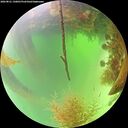 ./images/calvert/underwater/20260821/underwater20260821_130001M.jpg