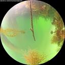 ./images/calvert/underwater/20260821/underwater20260821_130501M.jpg