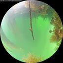 ./images/calvert/underwater/20260821/underwater20260821_131001M.jpg