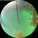 ./images/calvert/underwater/20260821/underwater20260821_131501M.jpg
