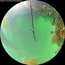 ./images/calvert/underwater/20260821/underwater20260821_132002M.jpg