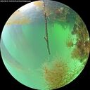 ./images/calvert/underwater/20260821/underwater20260821_132501M.jpg