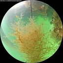 ./images/calvert/underwater/20260821/underwater20260821_133001M.jpg
