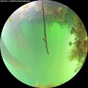 ./images/calvert/underwater/20260821/underwater20260821_134001M.jpg