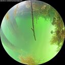 ./images/calvert/underwater/20260821/underwater20260821_135002M.jpg