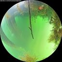 ./images/calvert/underwater/20260821/underwater20260821_135501M.jpg
