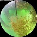 ./images/calvert/underwater/20260821/underwater20260821_140001M.jpg