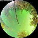 ./images/calvert/underwater/20260821/underwater20260821_140501M.jpg