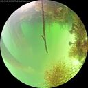 ./images/calvert/underwater/20260821/underwater20260821_141501M.jpg