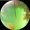 ./images/calvert/underwater/20260821/underwater20260821_142001M.jpg