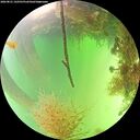 ./images/calvert/underwater/20260821/underwater20260821_142501M.jpg
