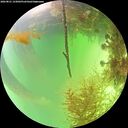 ./images/calvert/underwater/20260821/underwater20260821_143002M.jpg