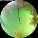 ./images/calvert/underwater/20260821/underwater20260821_143501M.jpg