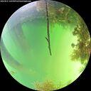 ./images/calvert/underwater/20260821/underwater20260821_144501M.jpg