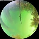 ./images/calvert/underwater/20260821/underwater20260821_145001M.jpg