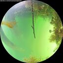 ./images/calvert/underwater/20260821/underwater20260821_145501M.jpg
