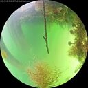 ./images/calvert/underwater/20260821/underwater20260821_150001M.jpg