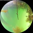 ./images/calvert/underwater/20260821/underwater20260821_151001M.jpg