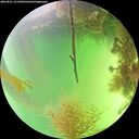 ./images/calvert/underwater/20260821/underwater20260821_151501M.jpg