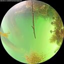 ./images/calvert/underwater/20260821/underwater20260821_152001M.jpg