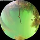 ./images/calvert/underwater/20260821/underwater20260821_152501M.jpg