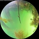 ./images/calvert/underwater/20260821/underwater20260821_153002M.jpg