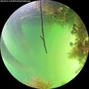 ./images/calvert/underwater/20260821/underwater20260821_153501M.jpg