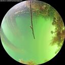 ./images/calvert/underwater/20260821/underwater20260821_154001M.jpg