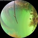 ./images/calvert/underwater/20260821/underwater20260821_155001M.jpg
