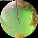 ./images/calvert/underwater/20260821/underwater20260821_155501M.jpg