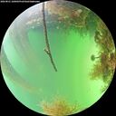 ./images/calvert/underwater/20260821/underwater20260821_160002M.jpg