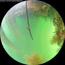 ./images/calvert/underwater/20260821/underwater20260821_160501M.jpg