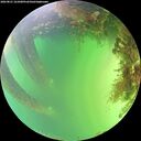 ./images/calvert/underwater/20260821/underwater20260821_161001M.jpg