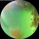 ./images/calvert/underwater/20260821/underwater20260821_162502M.jpg