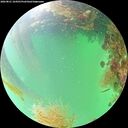 ./images/calvert/underwater/20260821/underwater20260821_164501M.jpg