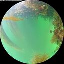 ./images/calvert/underwater/20260821/underwater20260821_165501M.jpg