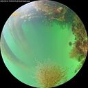./images/calvert/underwater/20260821/underwater20260821_170501M.jpg
