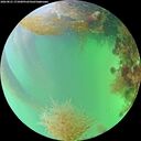 ./images/calvert/underwater/20260821/underwater20260821_171001M.jpg