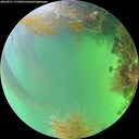 ./images/calvert/underwater/20260821/underwater20260821_172501M.jpg