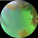 ./images/calvert/underwater/20260821/underwater20260821_173501M.jpg